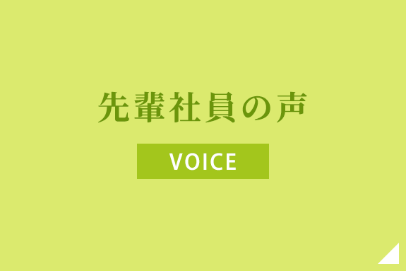 先輩社員の声